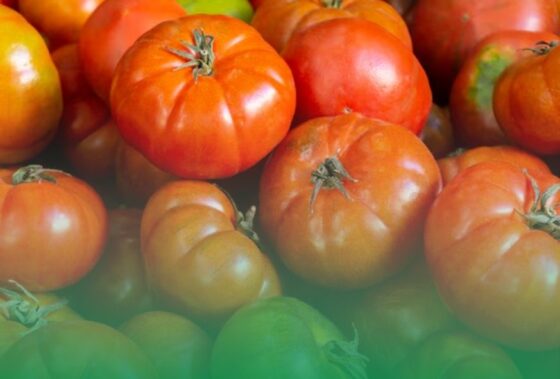 Éxito en la IV Edición de la Feria Agroalimentaria de Zújar