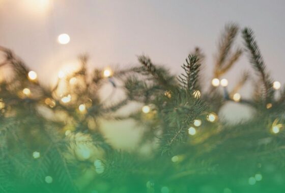 Programación de Navidad en Zújar 2024